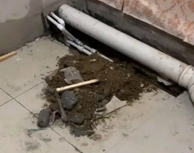 南乐卫生间漏水检测哪家好